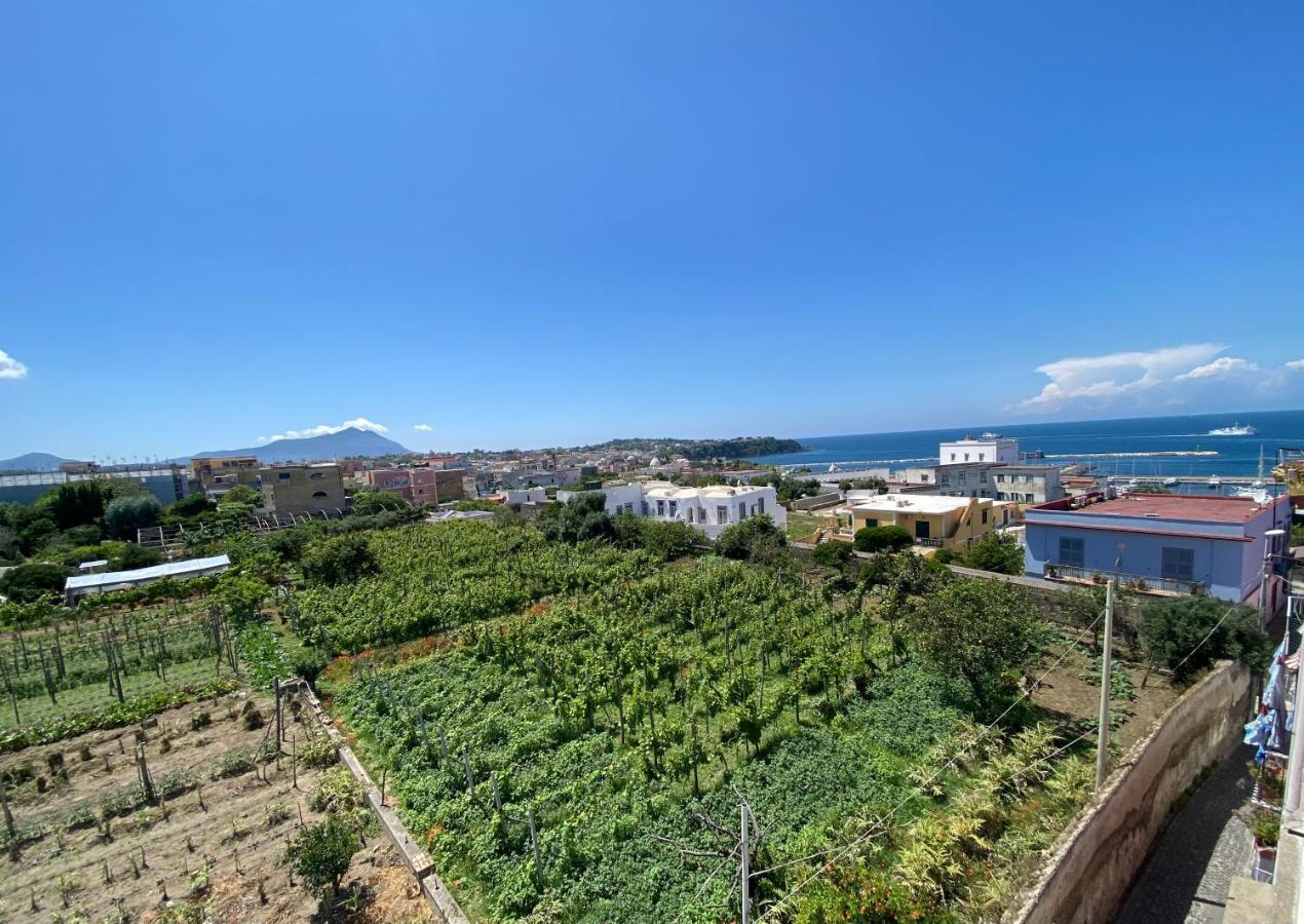 La Casa Dei Sogni Villa Procida Eksteriør billede