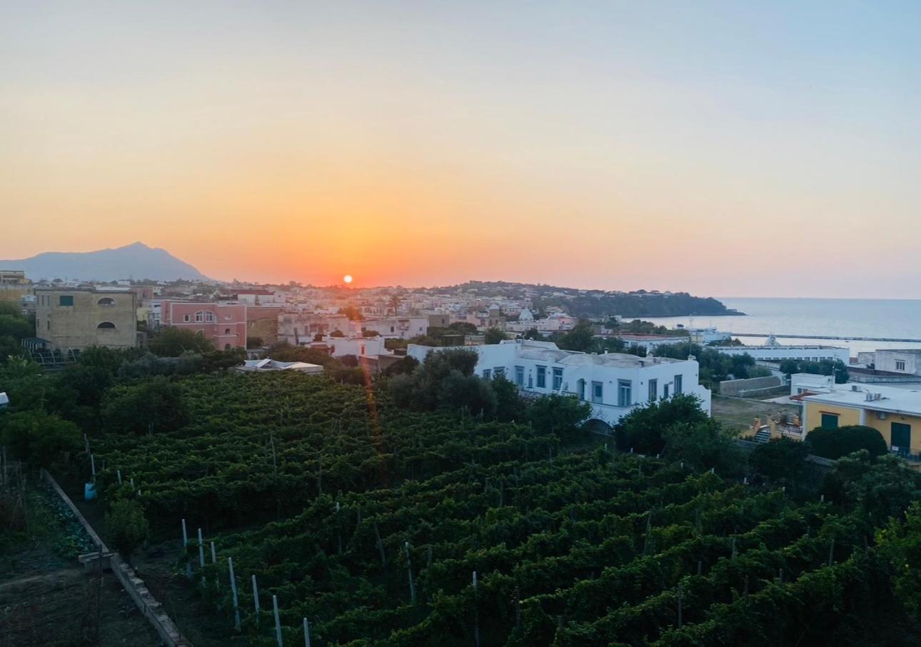 La Casa Dei Sogni Villa Procida Eksteriør billede